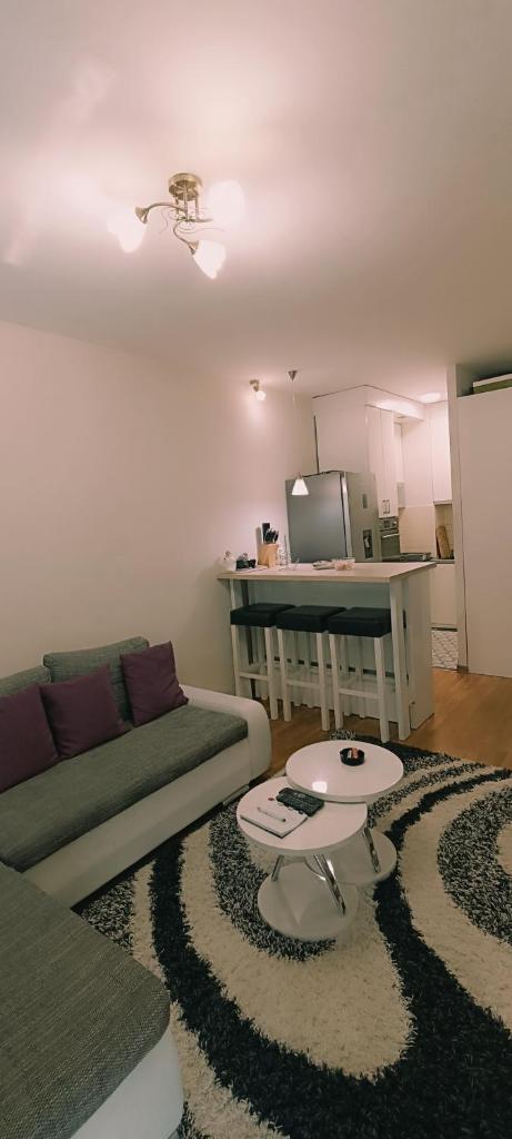 Yasmin Apartment (Pozega in Serbia) photo 3