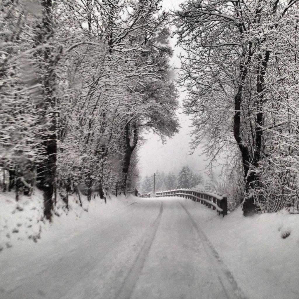 Appartamento incantevole sul lago di Ledro photo 1