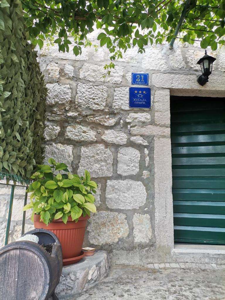 Dalmatinska kuća za odmor photo 4