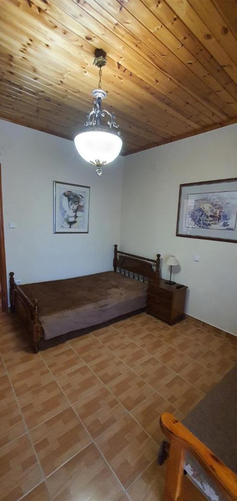 Tonia’s & Chris House photo 4