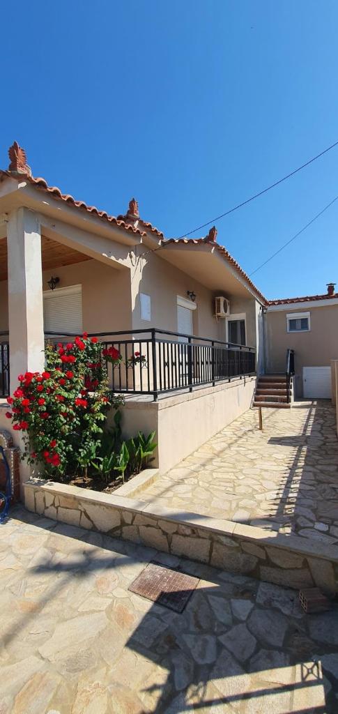 Tonia’s & Chris House photo 1