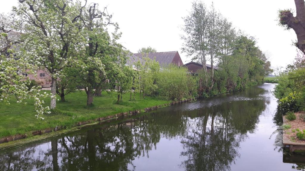 Pauwenstee photo 1