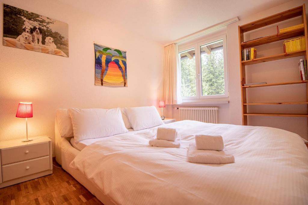 Latschüel Apartment photo 3
