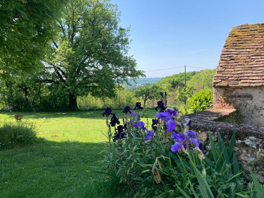 La Maison Magique photo 3
