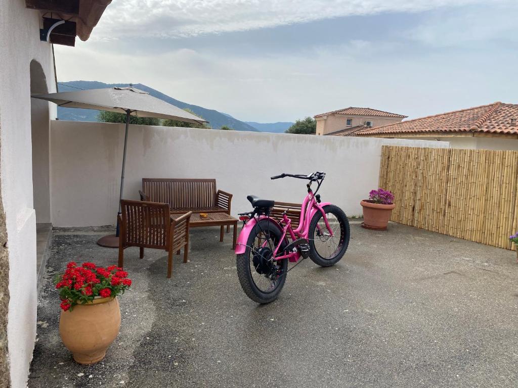 Petite maison en pierre photo 2