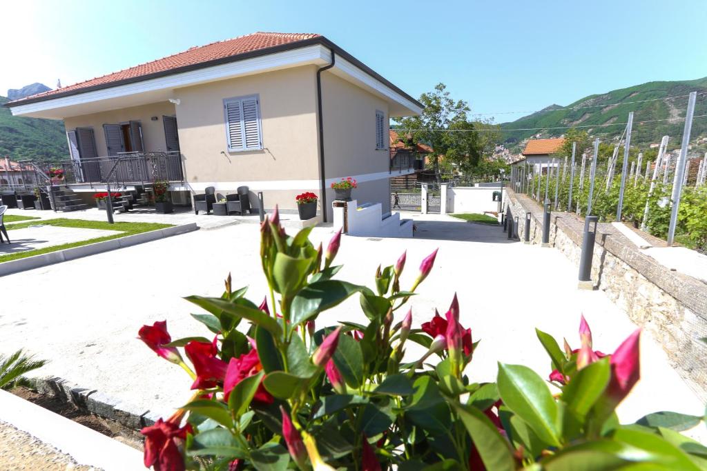 Il Violino degli Dei Holiday House