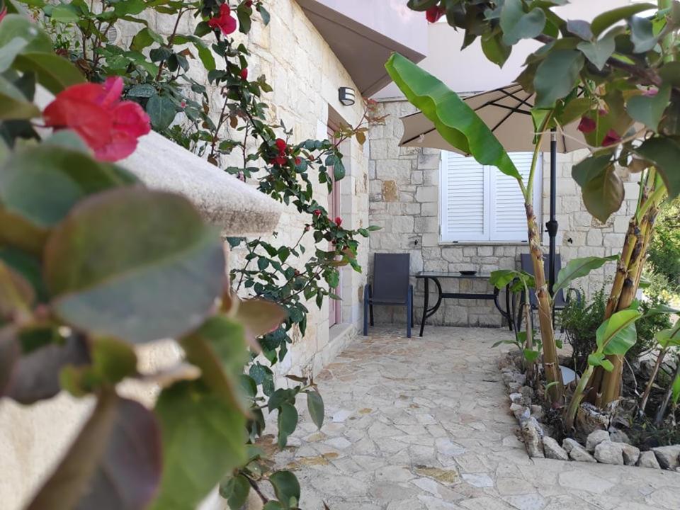 Xenia's countryside guesthouse photo 3
