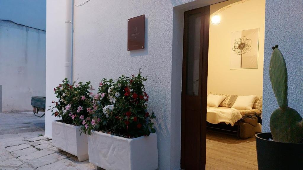 BOSA HOME B&B