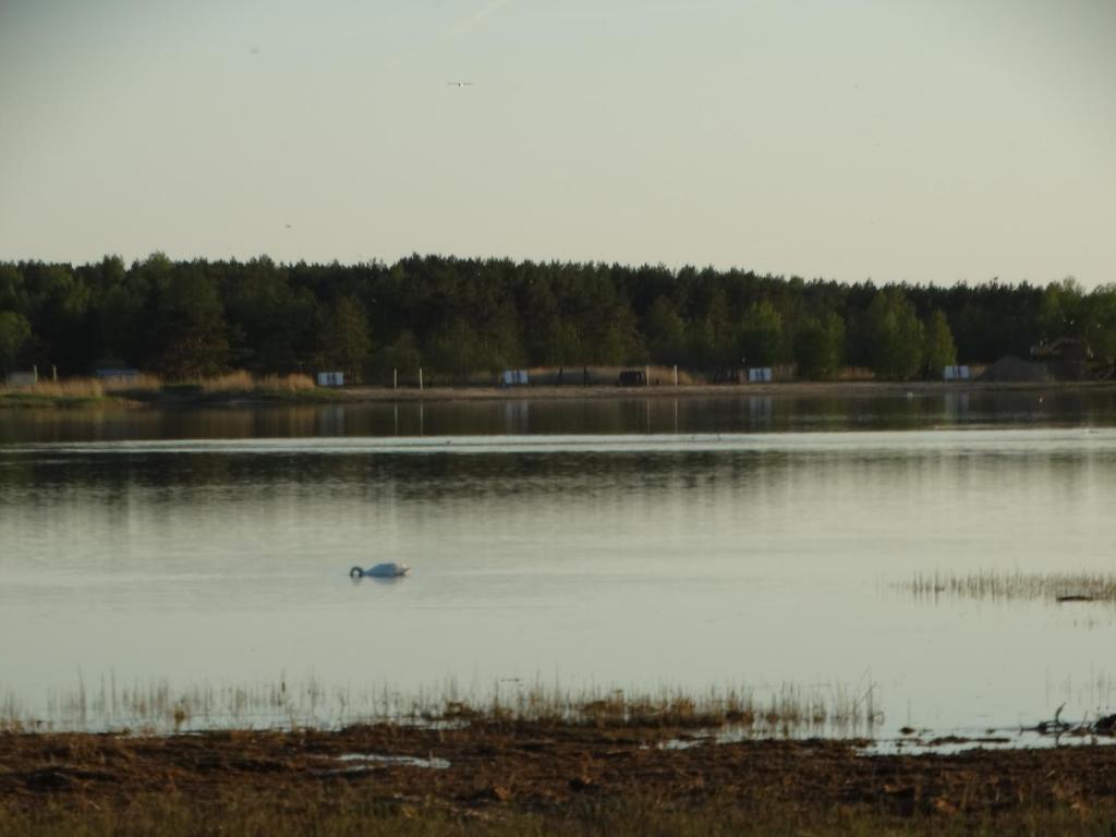 Mereääre photo 3