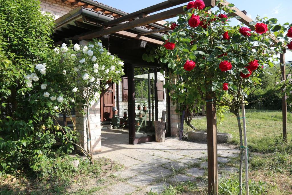Casa La Gorga photo 4