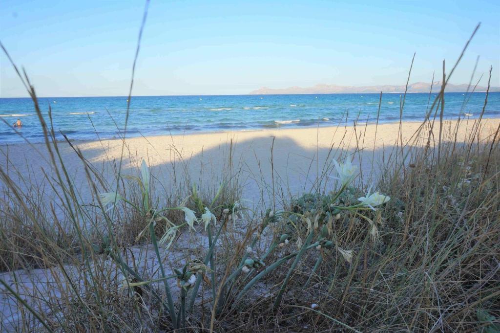 Belle Maison proche plage photo 3