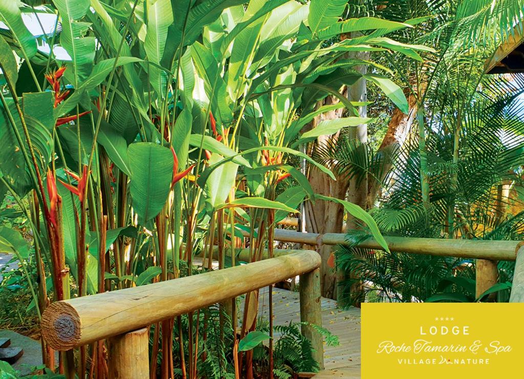 Lodge Roche Tamarin photo 2