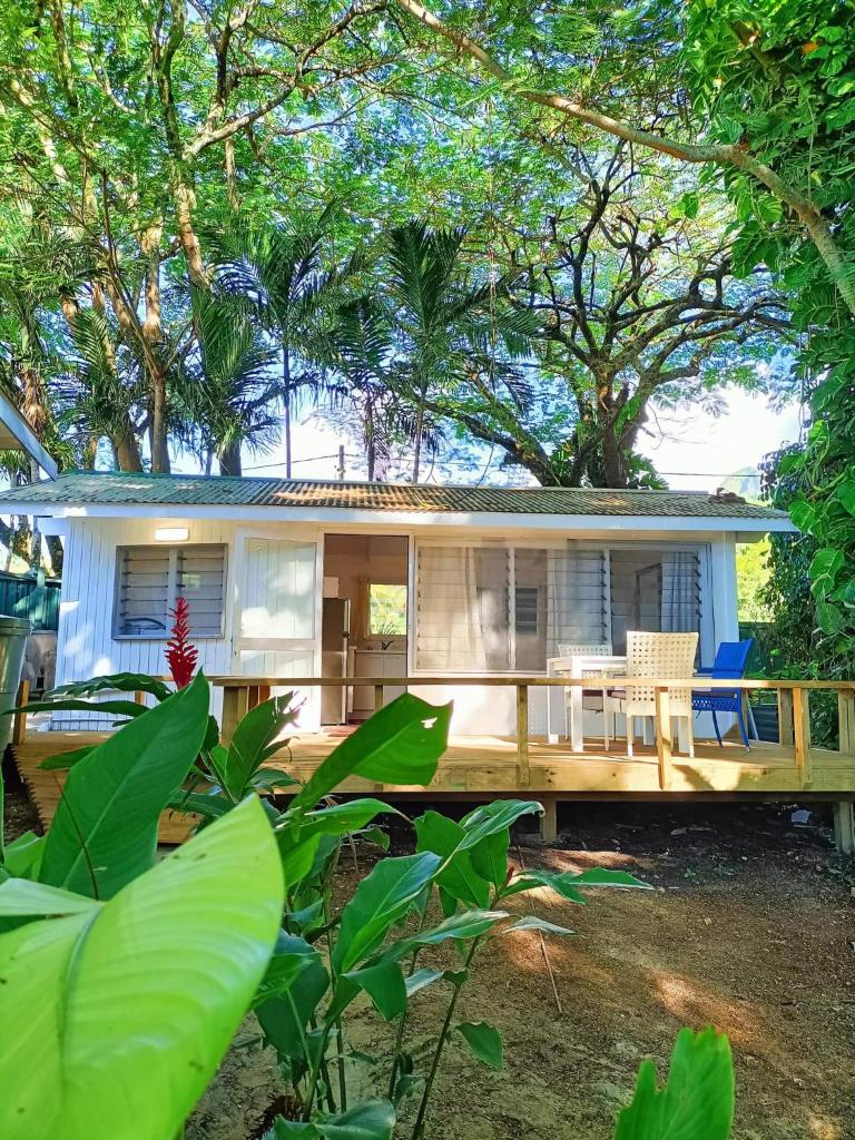 Are Tamareni 2BR Beach Cottage or River Studio photo 3
