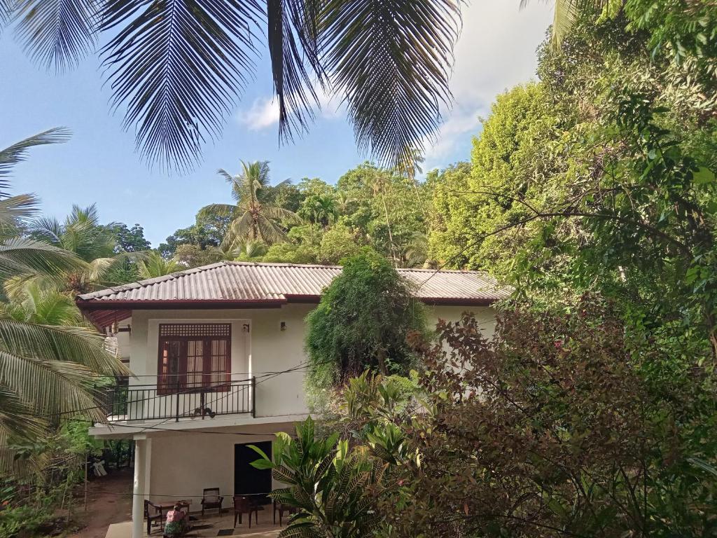 Jungle Village Homestay photo 1