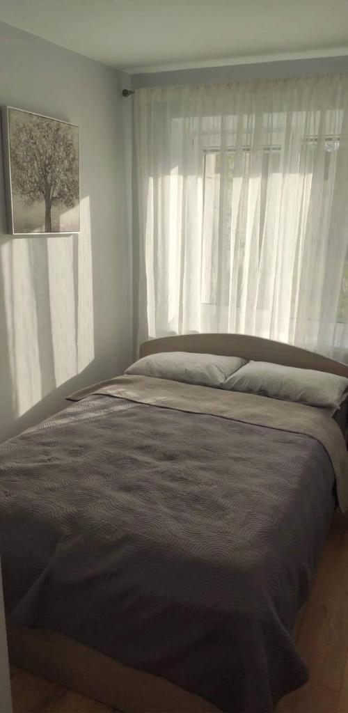 Butas miesto centre/ Apartment in the city center photo 3