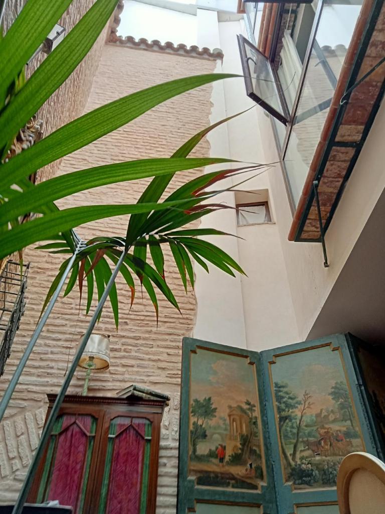 Hostal Casa Del Buen Viaje photo 4
