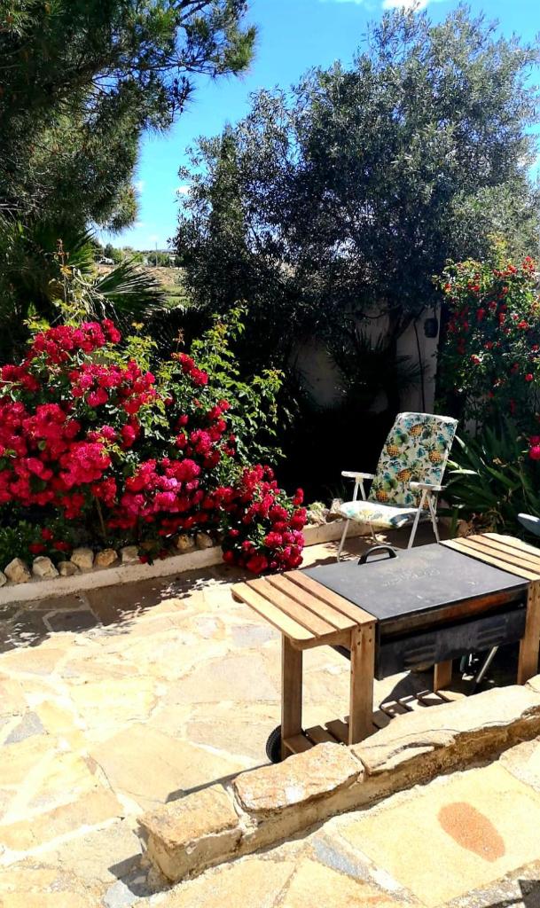 Cortijo Paraiso photo 3