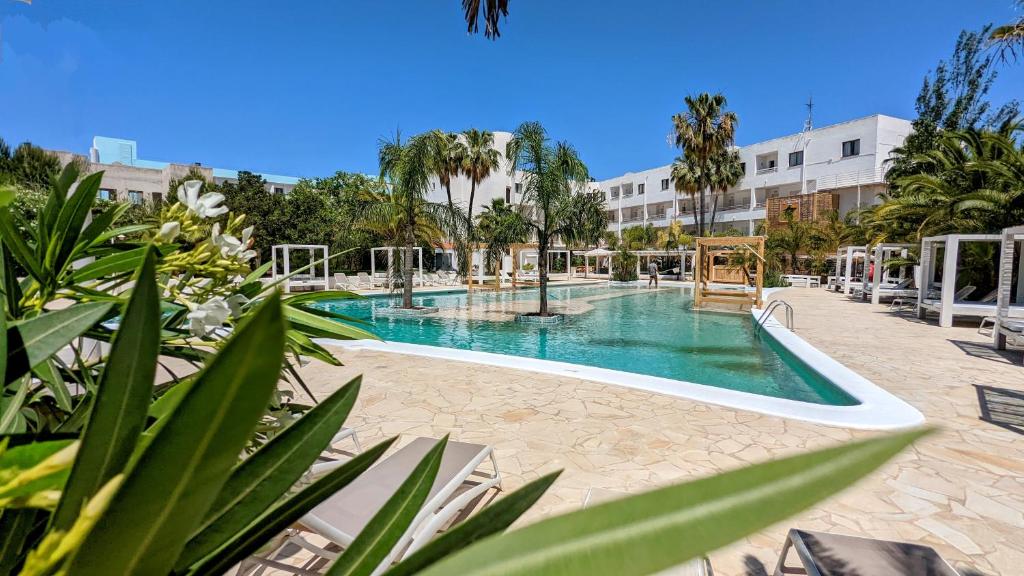 The Palm Star Ibiza - Adults Only photo 3