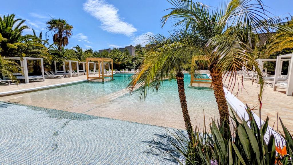 The Palm Star Ibiza - Adults Only photo 2