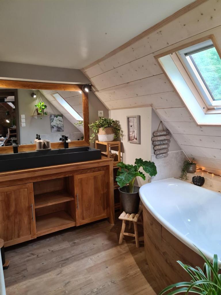 gîte le gabizos avec bain nordique et sauna en pleine montagne photo 1