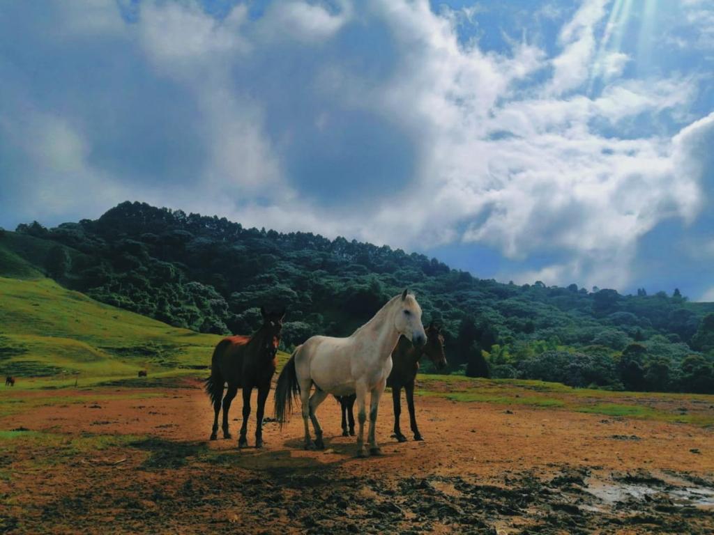 Finca Recreacional Marcelandia photo 3