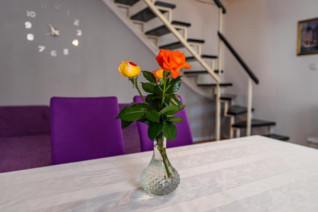 Apartman Best photo 1