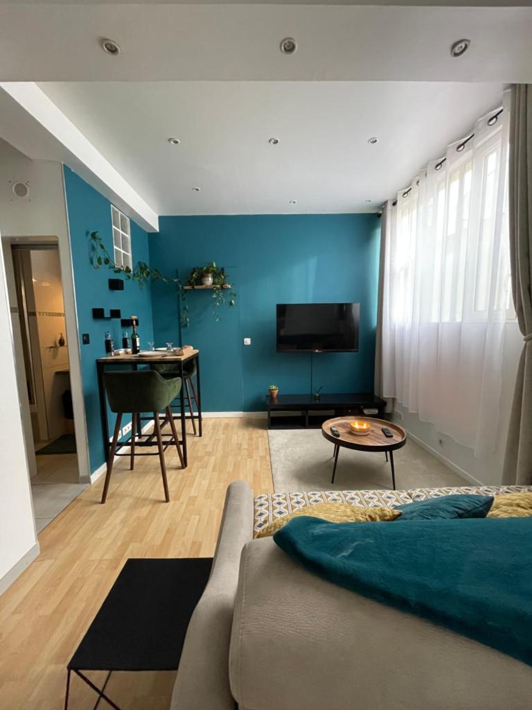 Très beau Studio Lumineux refait a Neuf ! photo 4