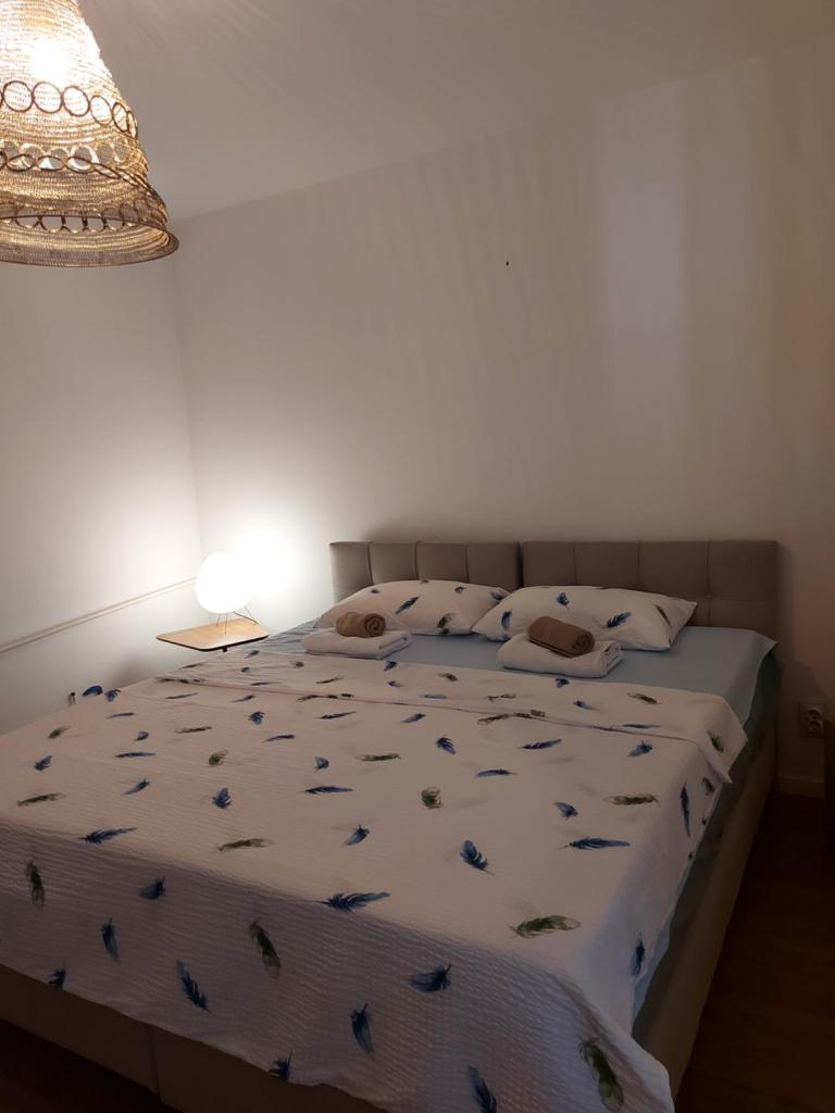 AAA Apartment photo 3