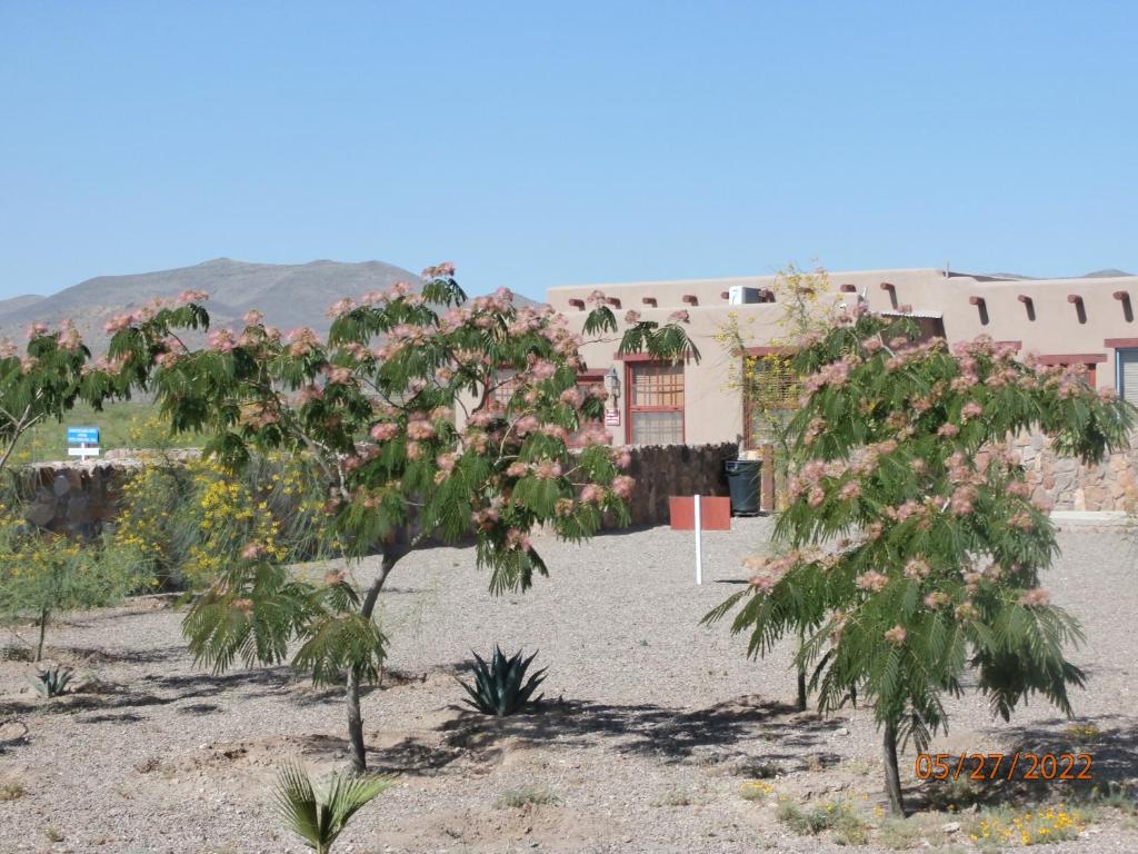 PUEBLO DEL SOuL at Paquime photo 1