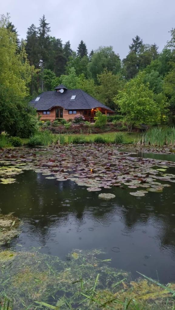 Dzikie południe photo 3