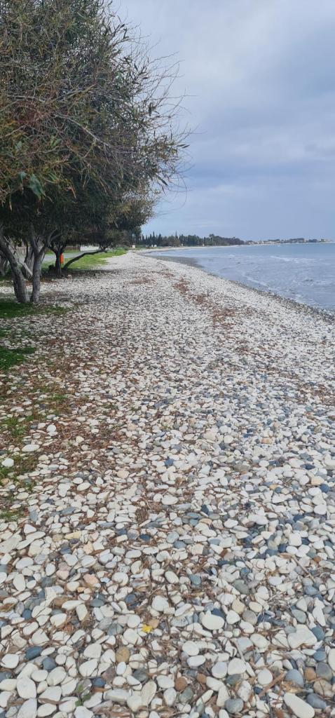 Marlens beach house photo 4