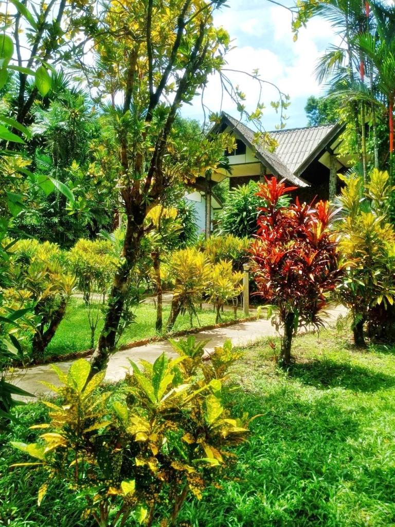 Tree Tops River Huts photo 4