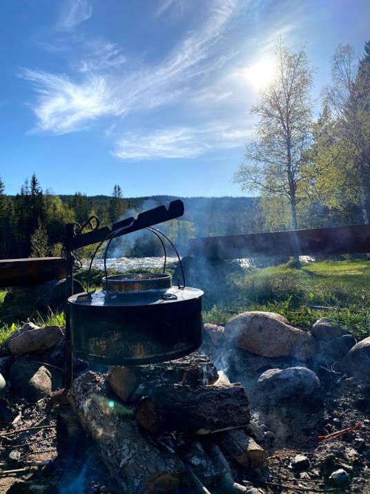 Gresslifoss Camping photo 3