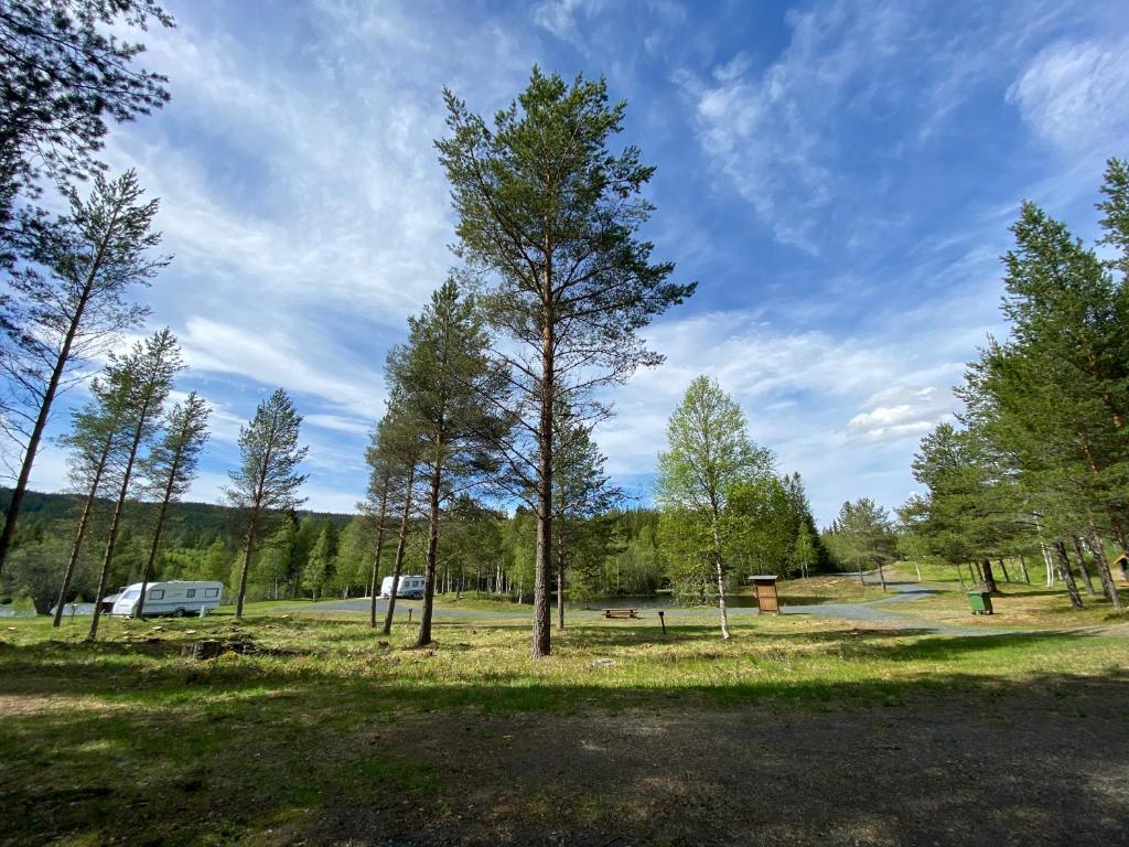 Gresslifoss Camping photo 1