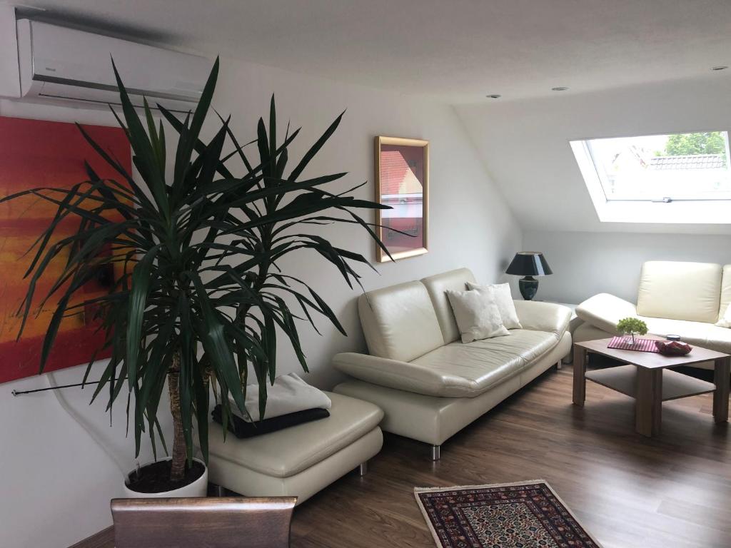Apartment Sabine photo 2