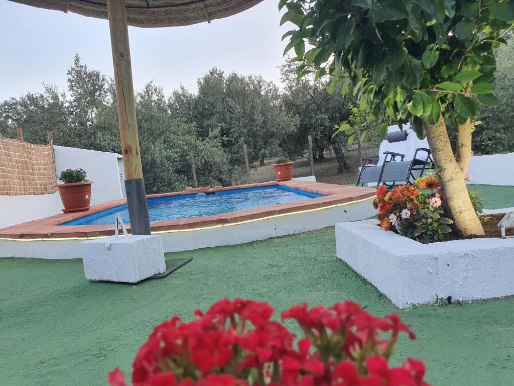 Casa domi photo 3
