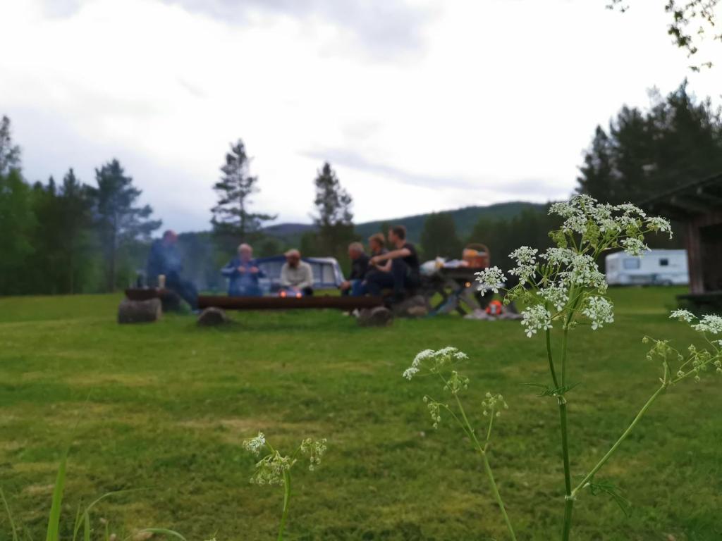 Gresslifoss Camping photo 4