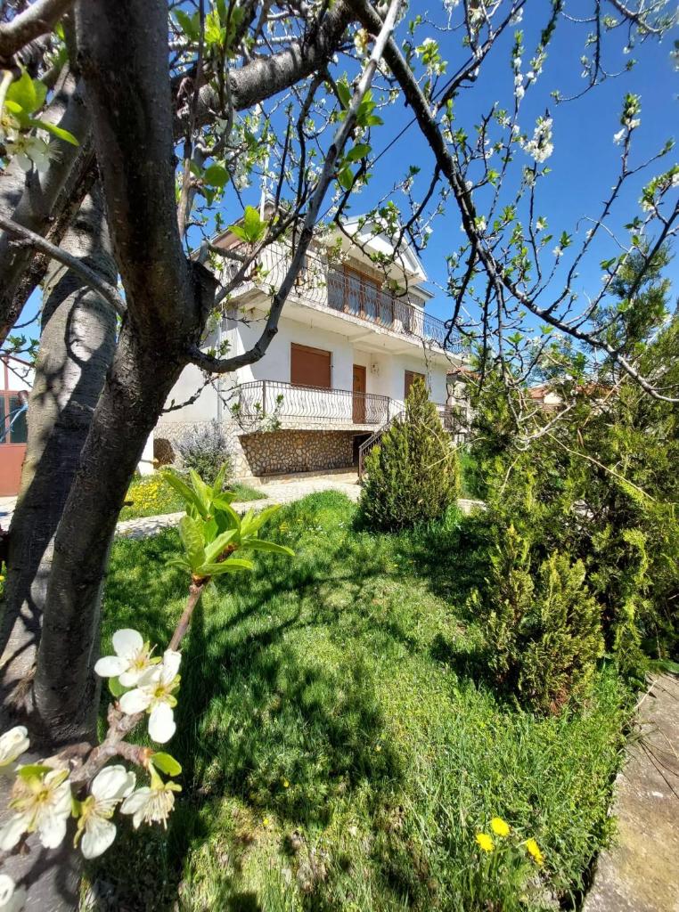 Prespa`s Balcony Guesthouse photo 3