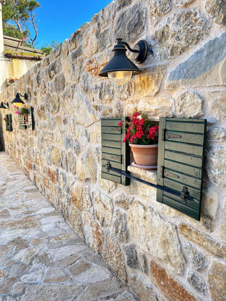 Apartments Mali Dvor Novigrad photo 1