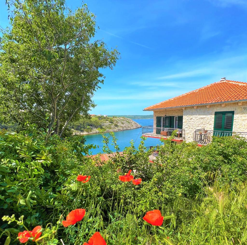 Apartments Mali Dvor Novigrad photo 4