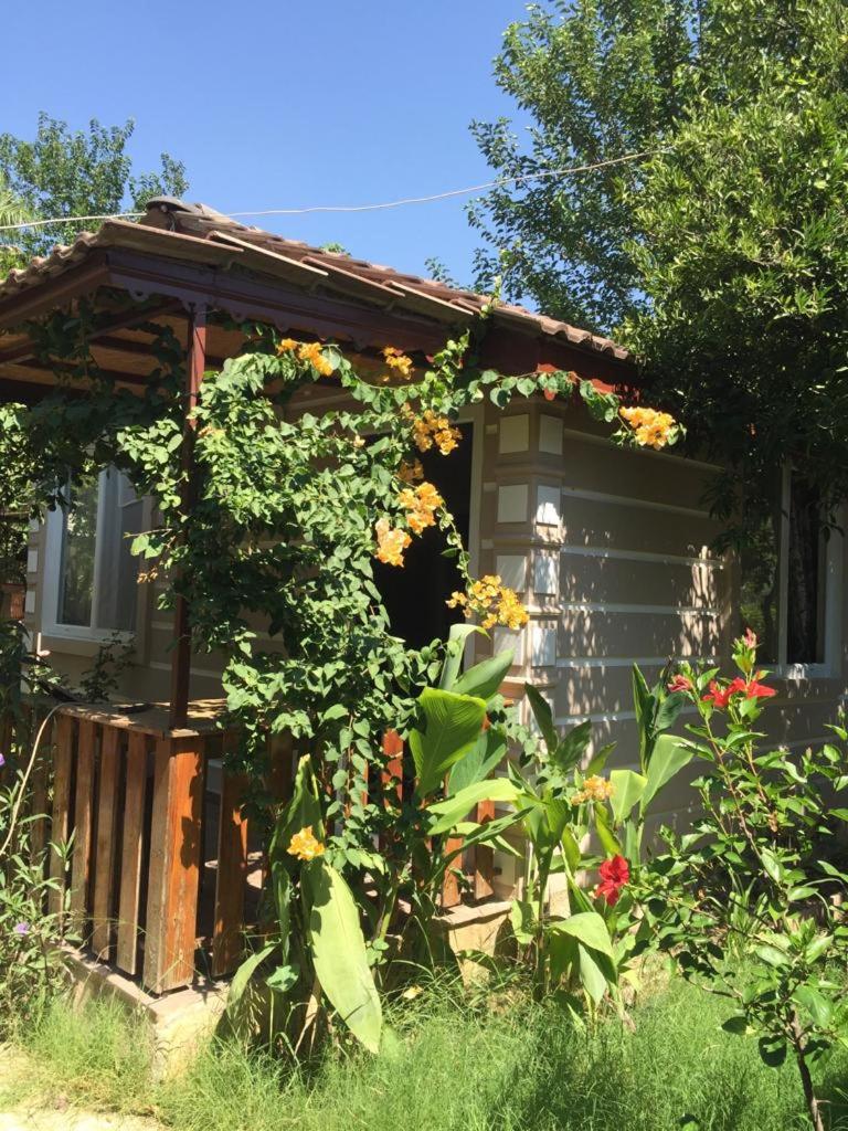 Serenity Bungalow Çamyuva photo 1