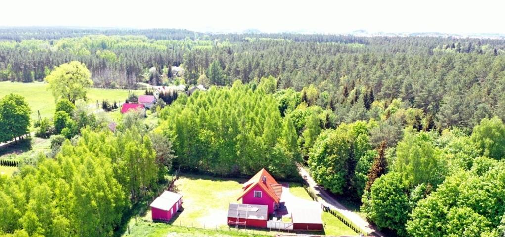 Domek letniskowy w lesie 6 -7 osób photo 1