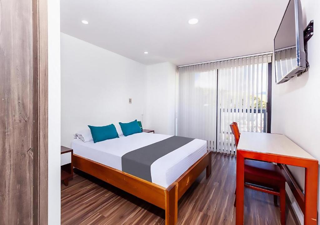 Hotel Basan Plaza photo 4