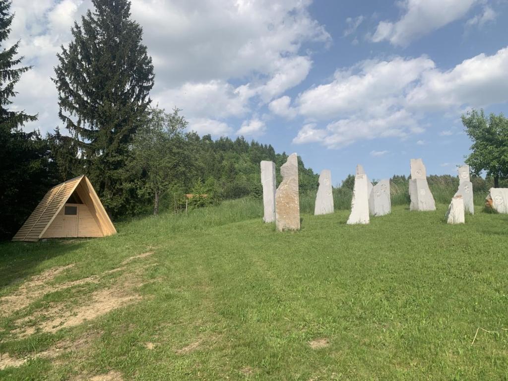 Hillside Bio Glamping photo 2