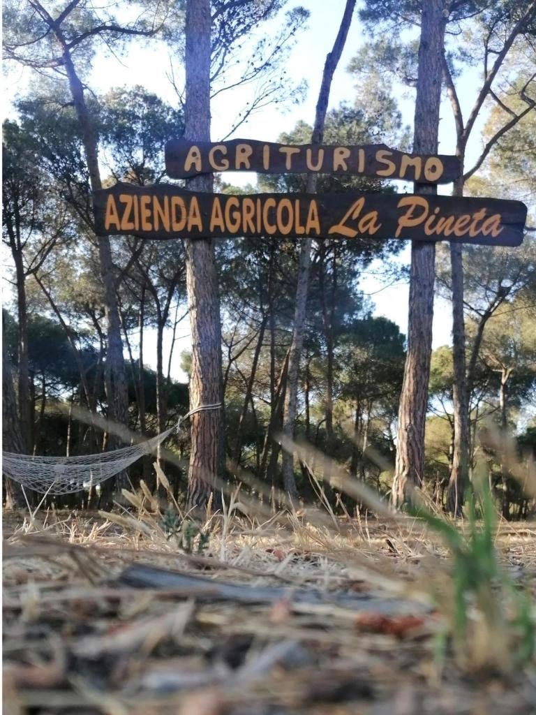 Agricampeggio La Pineta photo 3