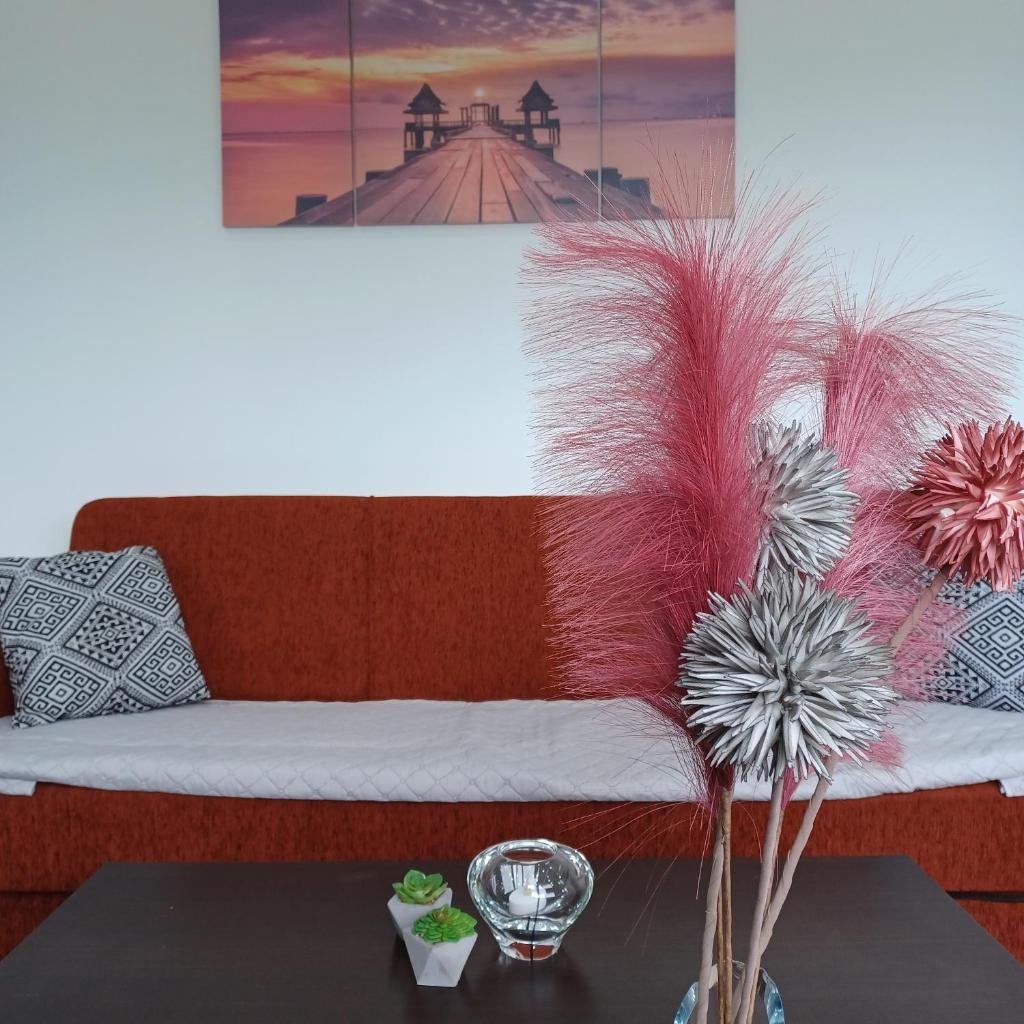 Zoggos Apartment photo 3