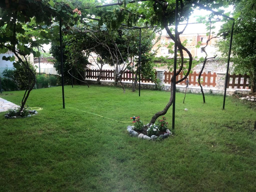 Vila Culli photo 1