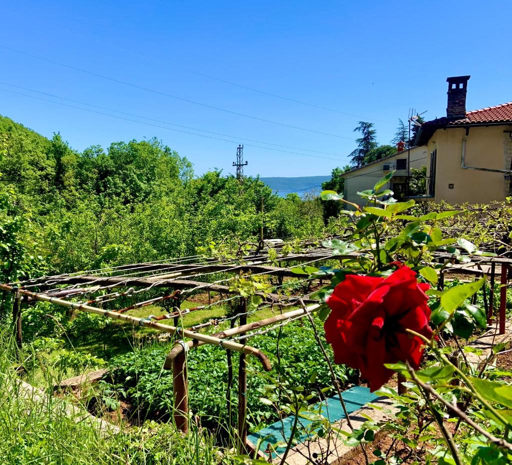 Villa Flamingo Mošćenička Draga photo 4