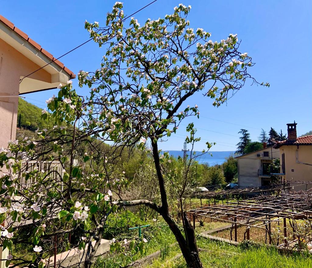 Villa Flamingo Mošćenička Draga photo 3