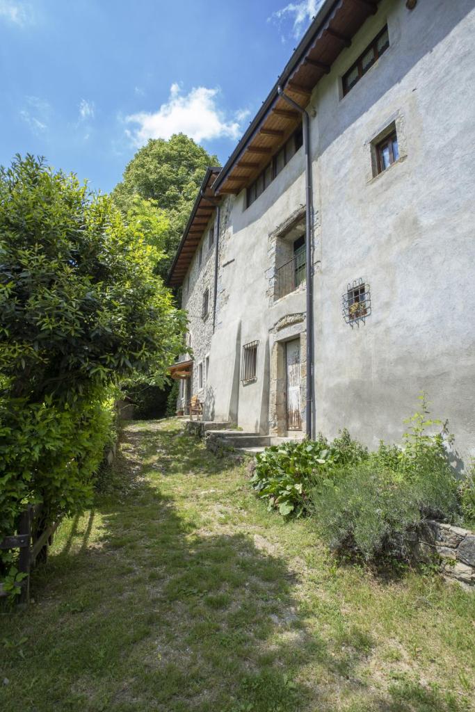 La casa del bosco photo 3